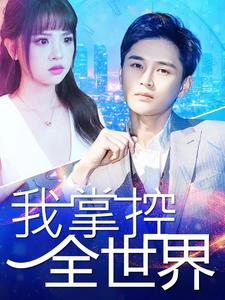 我掌控全世界（100集）1-100集