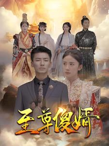 至尊傻婿(82集) 至尊傻婿(82集)黑化女主