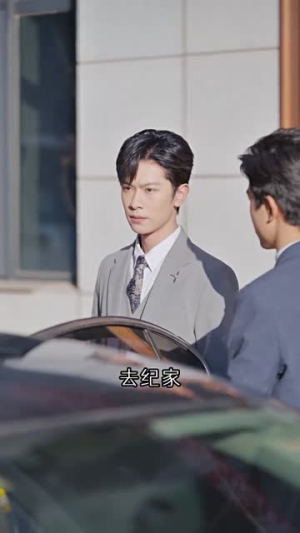 千亿总裁向我求婚了（80集）打脸太狠了