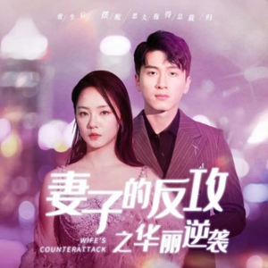 妻子的反攻之华丽逆袭(30集) 妻子的反攻之华丽逆袭(30集)太猎奇