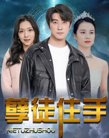 孽徒住手（87集）最佳导演
