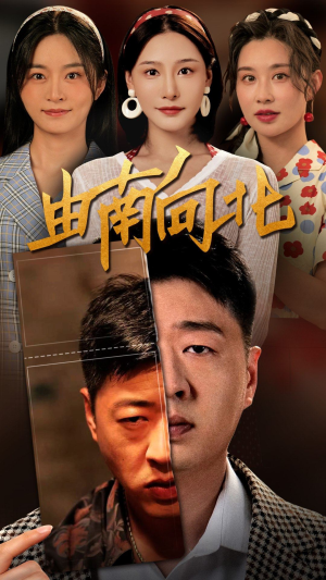 由南向北（88集）投屏观看