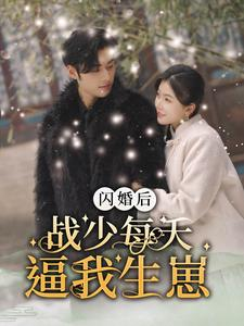 闪婚后战少每天逼我生崽(91集) 闪婚后战少每天逼我生崽(91集)2026短剧