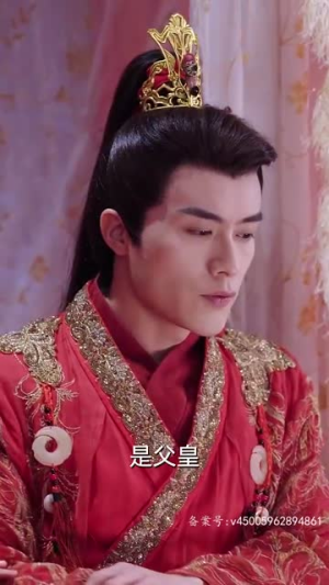重生后神医王妃要改嫁(83集) 重生后神医王妃要改嫁(83集)理想中的爱情