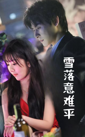 雪落意难平(35集) 雪落意难平(35集)腹黑男主