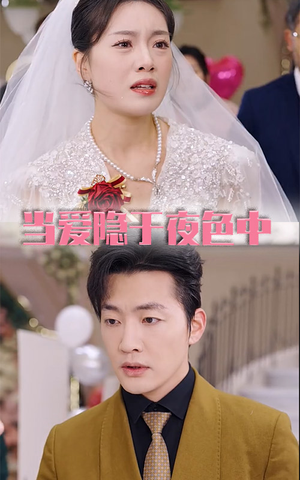 当爱隐于夜色中（37集）什么时候更新