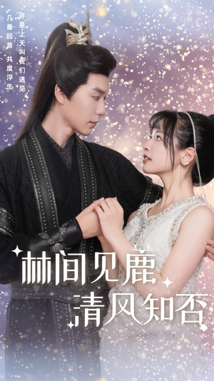 林间见鹿清风知否(62集) 林间见鹿清风知否(62集)蓝光画质