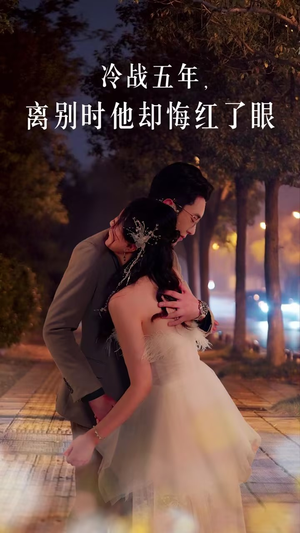冷战五年离别时他却悔红了眼(60集) 冷战五年离别时他却悔红了眼(60集)独立女主