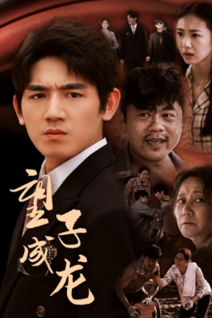 望子成龙（52集）一共多少集
