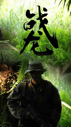 战龙(80集) 战龙(80集)太遗憾了