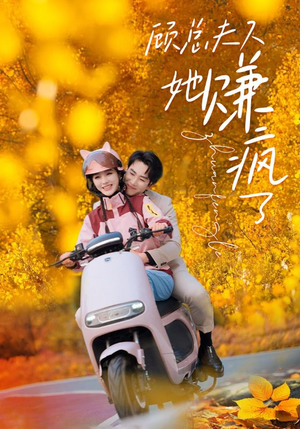 顾总夫人她赚疯了（80集）追夫火葬场