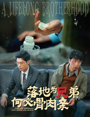 落地为兄弟,何必骨肉亲(60集) 落地为兄弟,何必骨肉亲(60集)剧情向短剧