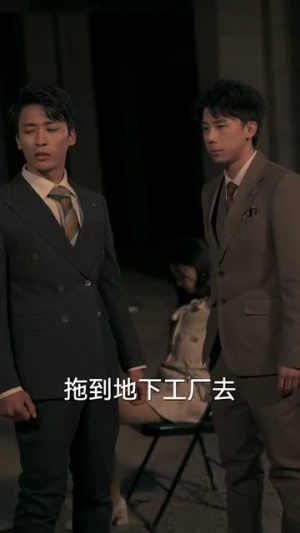 揽月拂南洲(49集) 揽月拂南洲(49集)免费观看