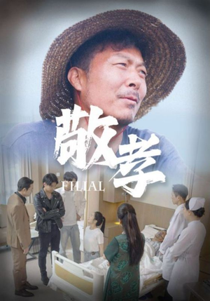 敬孝（61集）相亲短剧