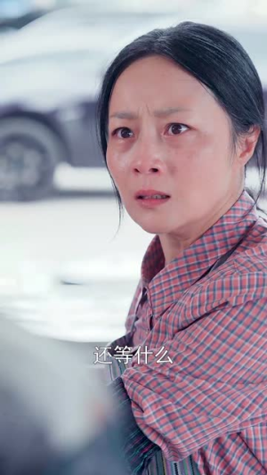 平安归来（36集）闪婚
