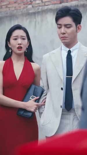 他的荣耀（合集）剧荒推荐