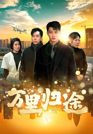万里归途(70集) 万里归途(70集)全能女主
