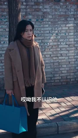 命中注定再相逢（39集）最新全集