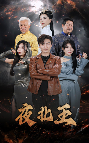 夜北王(76集) 夜北王(76集)大电影