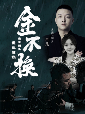 金不换(32集) 金不换(32集)无片段缺失
