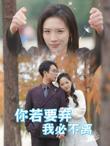 你若要弃我必不离&绝望主妇怒点天灯（30集）完整版免费看