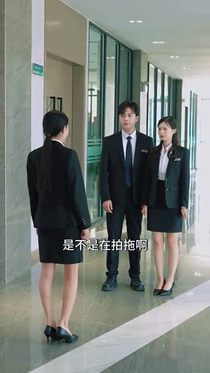 嗨起来啊职场小白（56集）无广告免费看