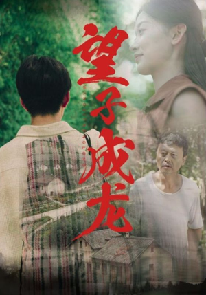 望子成龙(74集) 望子成龙(74集)大结局在线观看
