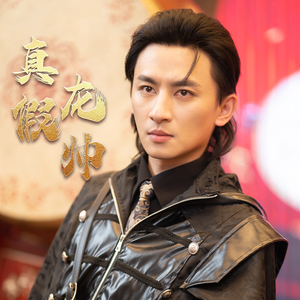 真假龙帅（81集）太血腥