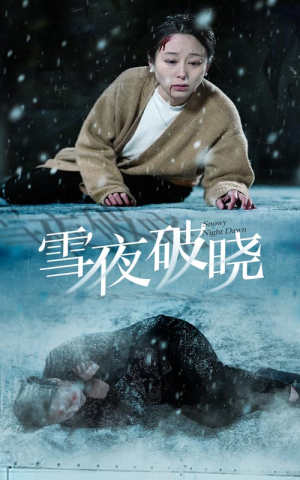 雪夜破晓（36集）男频短剧