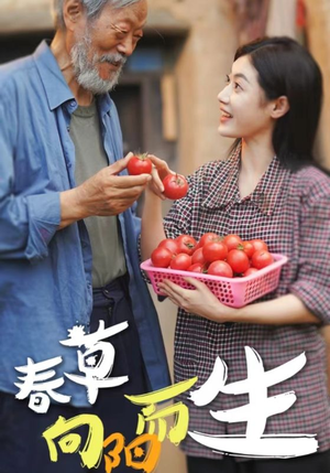 春草向阳而生（53集）无广告