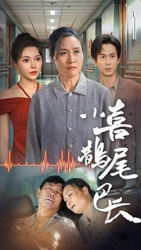 小喜鹊尾巴长（53集）免费短剧网站