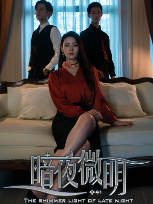 暗夜微明(70集) 暗夜微明(70集)爆款