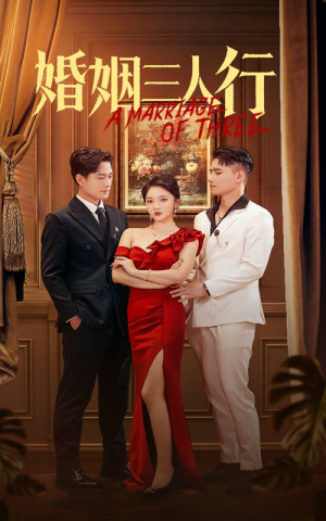 婚姻三人行（31集）满分老公