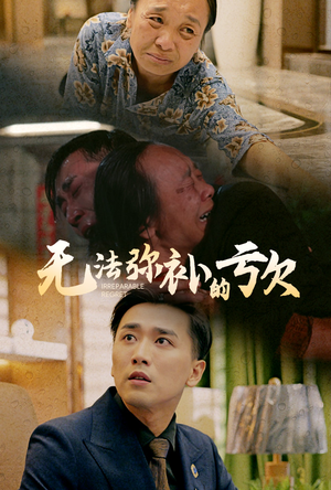 无法弥补的亏欠（59集）太解压了