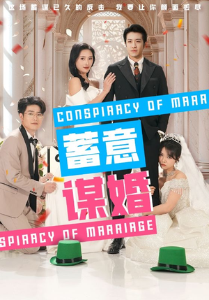 蓄意谋婚(30集) 蓄意谋婚(30集)情人节档短剧