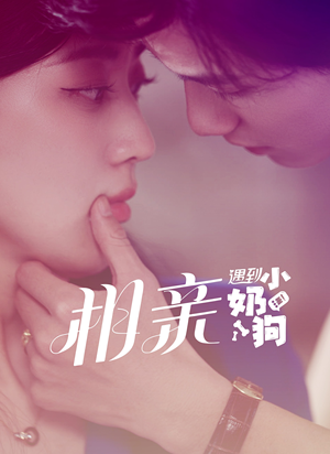 相亲遇到小奶狗(80集) 相亲遇到小奶狗(80集)太催泪了
