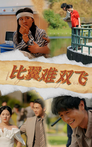 比翼难双飞（30集）横屏短剧