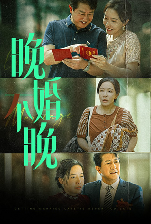 晚婚不晚(30集) 晚婚不晚(30集)异能戏太超能