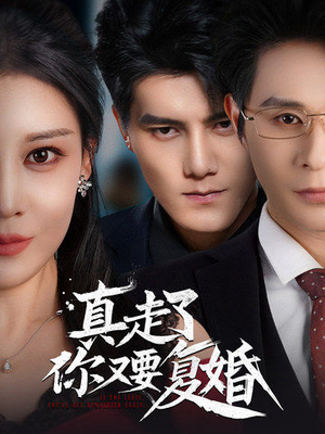 真走了你又要复婚(60集) 真走了你又要复婚(60集)超清版
