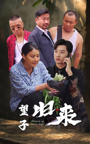 望子归来(50集) 望子归来(50集)富婆短剧