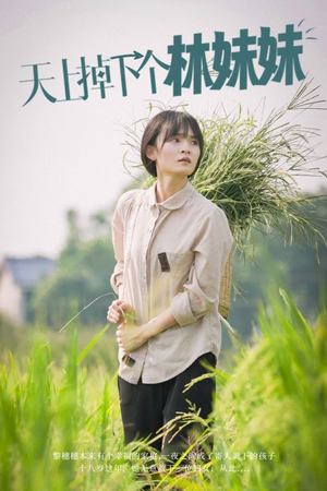 天上掉下个林妹妹(81集) 天上掉下个林妹妹(81集)太逗比了