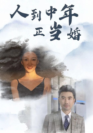 人到中年正当婚（81集）太燃了