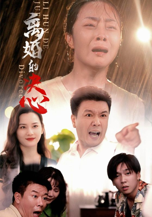 离婚的决心(48集) 离婚的决心(48集)无广告