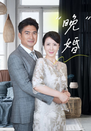 晚婚(65集) 晚婚(65集)周末必看短剧