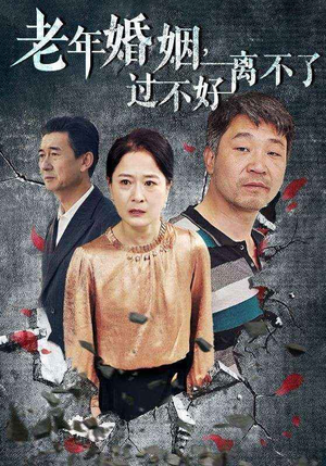 老年婚姻过不好离不了（50集）军旅短剧