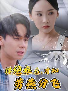 得绝症后才知劳燕分飞(31集) 得绝症后才知劳燕分飞(31集)高清版
