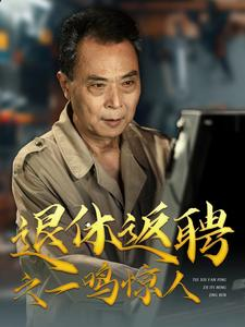 退休返聘之一鸣惊人（65集）当季热剧
