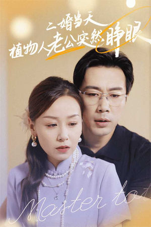 二婚当天植物人老公突然睁眼（40集）开局暴击
